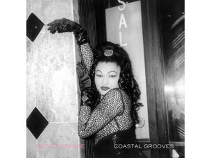 Rock / Indie / Alternative Blood Orange - Coastal Grooves LP