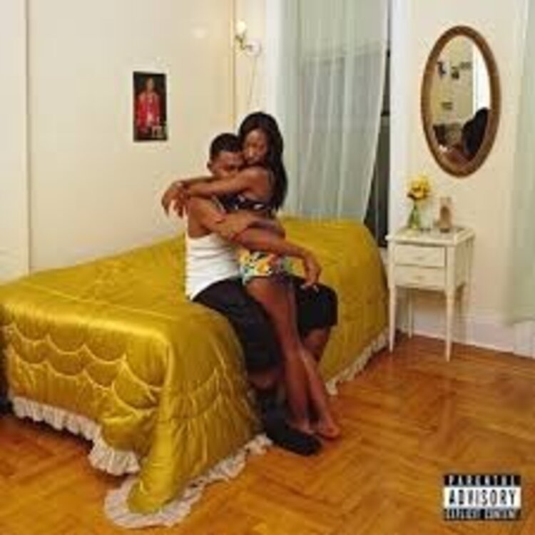 Rock / Indie / Alternative Blood Orange - Freetown Sound LP