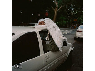 Rock / Indie / Alternative Blood Orange - Negro Swan LP