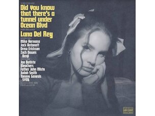 Rock / Indie / Alternative Lana Del Rey  - Did You Know.. LP (black)