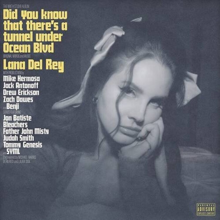 Rock / Indie / Alternative Del Rey, Lana - Did You Know.. LP (black)