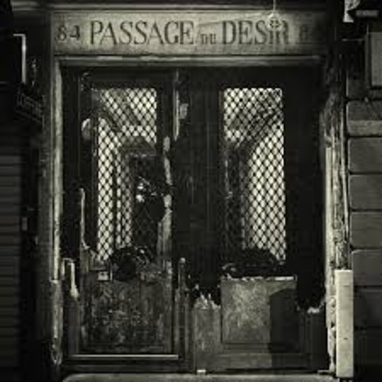 Johnny Blue Skies (Sturgill Simpson) - Passage Du Desir LP (black)