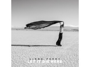 Rock / Indie / Alternative Linda Perry - Let it Die Here LP (desert glass)