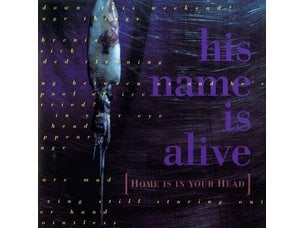 Rock / Indie / Alternative His Name Is Alive : Home Is In Your Head Remastered LP