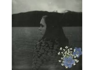 Rock / Indie / Alternative Soccer Mommy - Evergreen (Autographed + blue marbled)