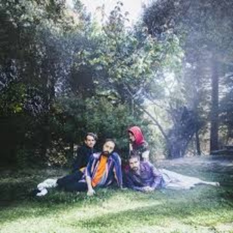 Rock / Indie / Alternative Big Thief - UFOF LP