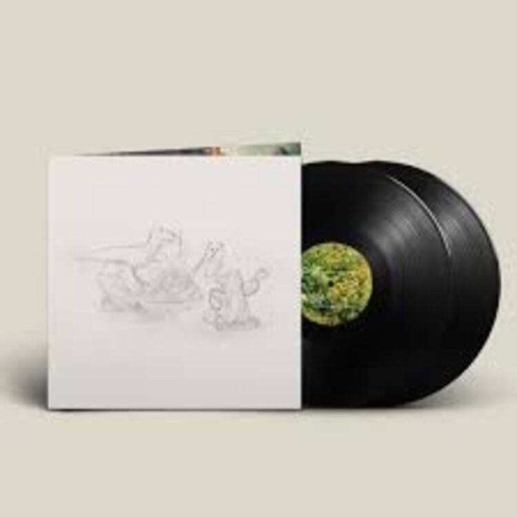 Rock / Indie / Alternative Big Thief - Dragon New Warm Mountain
