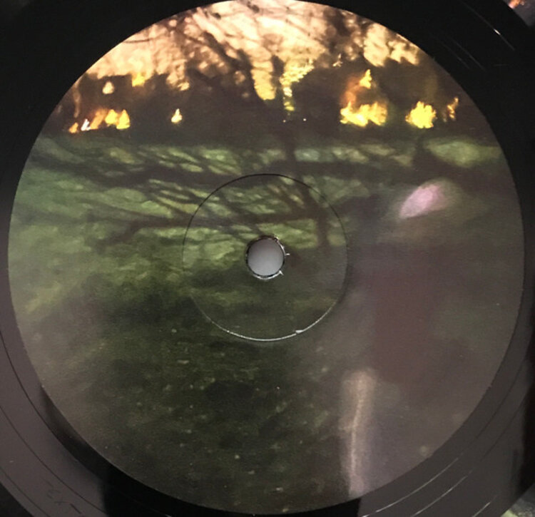 Eno, Brian / Fred Again - Secret Life LP