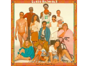 Rock / Indie / Alternative Glass Animals - How To Be a Human Being LP