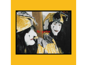 Rock / Indie / Alternative The Garden - Mirror Might Steal LP