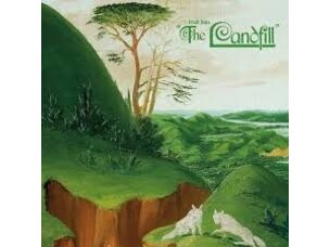 Rock / Indie / Alternative (6/12/26) Fruit Bats - The Landfill