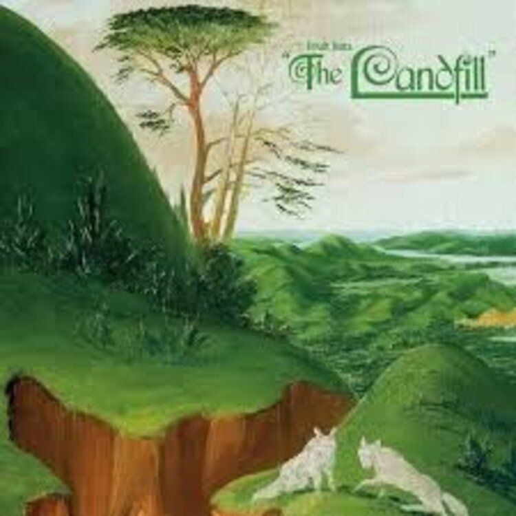 Rock / Indie / Alternative (6/12/26) Fruit Bats - The Landfill