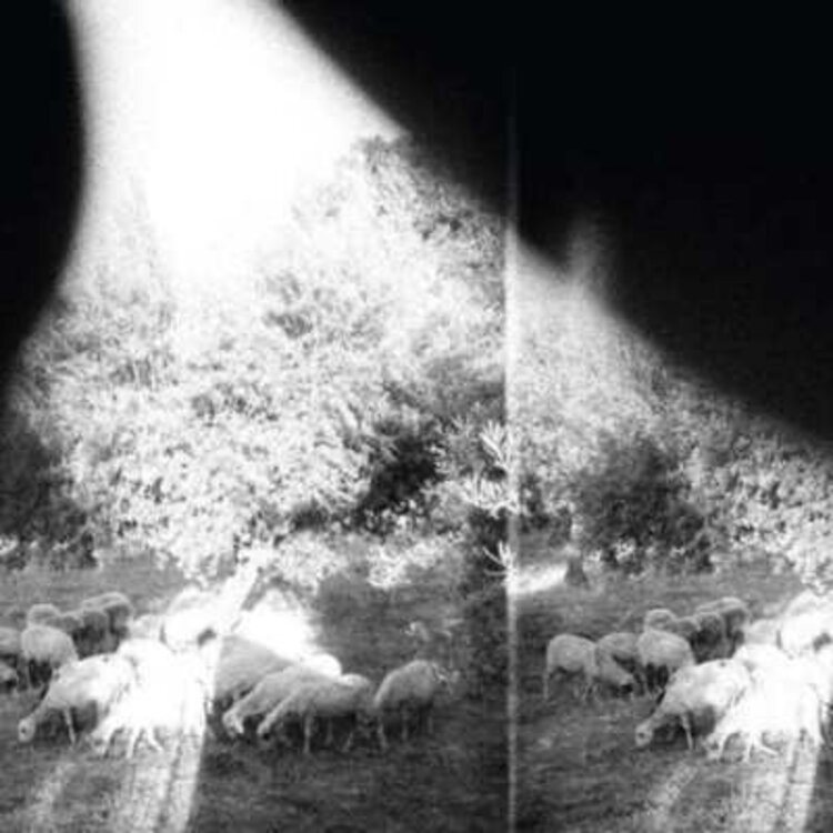 Godspeed You Black Emperor - Asunder Sweet and Other Distress LP