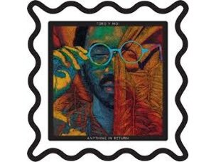 Rock / Indie / Alternative Toro Y Moi - Anything In Return LP (rose)