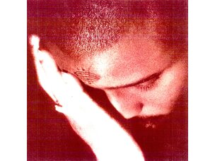 Electronic Nourished By Time - Passionate Ones LP