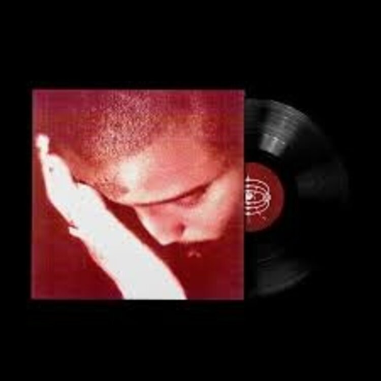 Electronic Nourished By Time - Passionate Ones LP