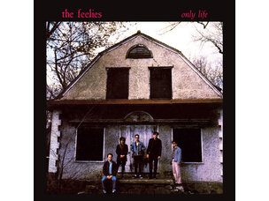 Rock / Indie / Alternative Feelies - Only Life LP (red)