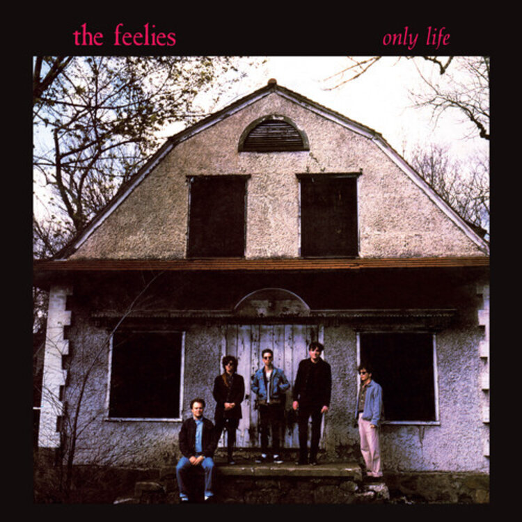 Rock / Indie / Alternative Feelies - Only Life LP (red)