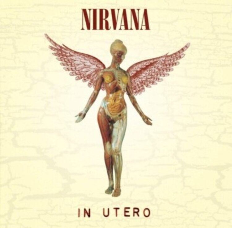 Rock / Indie / Alternative Nirvana - In Utero 180g LP