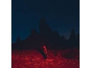 Rock / Indie / Alternative Phoebe Bridgers - Punisher LP