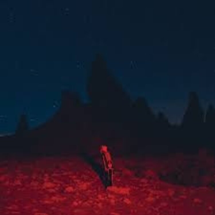 Rock / Indie / Alternative Bridgers, Phoebe - Punisher LP