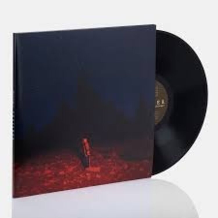 Rock / Indie / Alternative Bridgers, Phoebe - Punisher LP