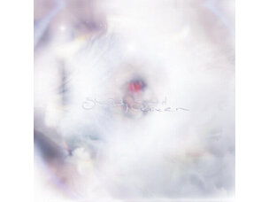 Rock / Indie / Alternative Glixen - She Only Said LP (black)