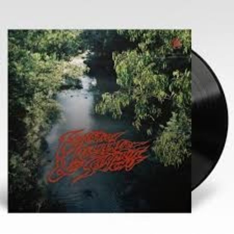 Surprise Chef - Education & Recreation LP (black)