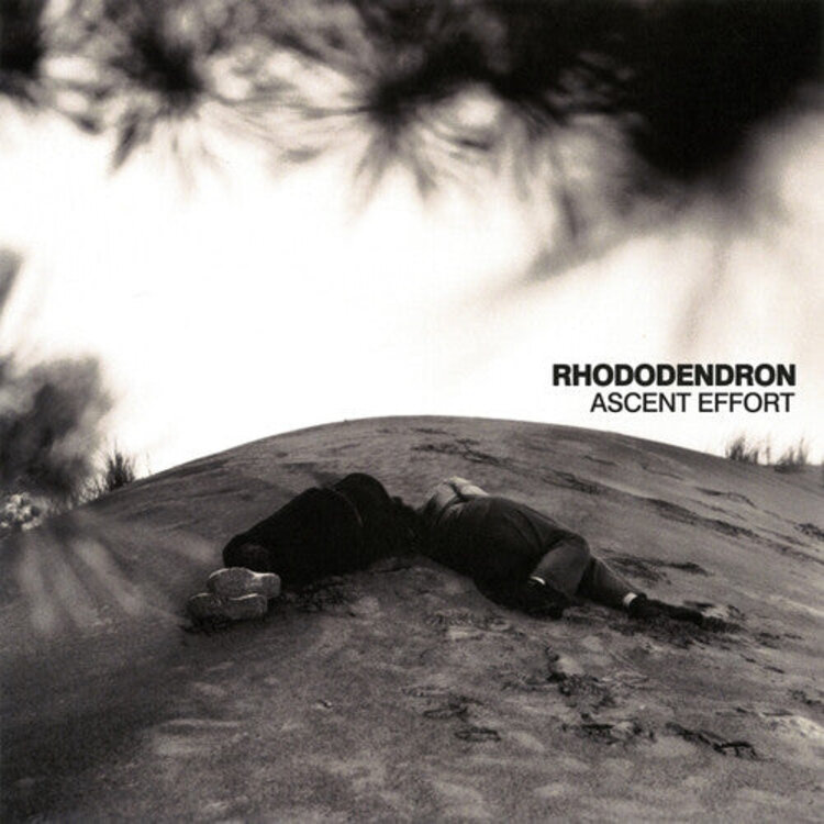 Metal Rhododendron - Ascent Effort LP (color)