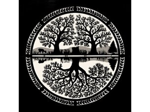 Rock / Indie / Alternative Nina Nastasia 'On Leaving' LP (glass)