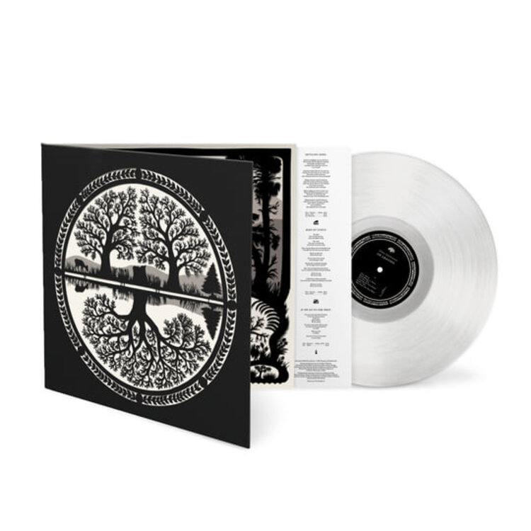 Rock / Indie / Alternative Nina Nastasia 'On Leaving' LP (glass)