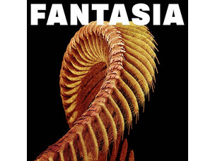 Rock / Indie / Alternative Slift - Fantasia - Yellow LP