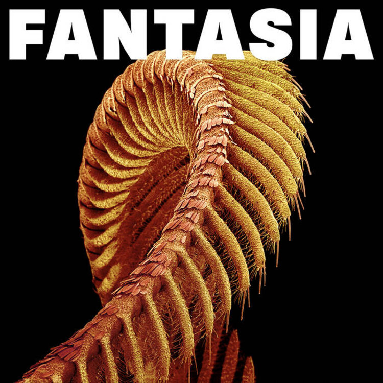 Rock / Indie / Alternative Slift - Fantasia - Yellow LP