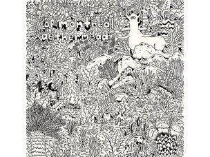 Rock / Indie / Alternative (6/5/26) Of Montreal - Aethermead LP (clear)