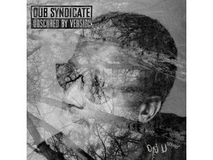 Reggae / Ska Dub Syndicate - Obscured By Version LP