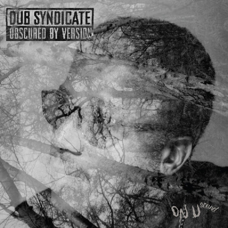 Reggae / Ska Dub Syndicate - Obscured By Version LP