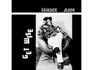 Reggae / Ska Horace Andy - Get Wise LP