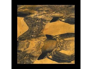 Ambient / Noise / Experimental Tashi Dorji - S/T LP
