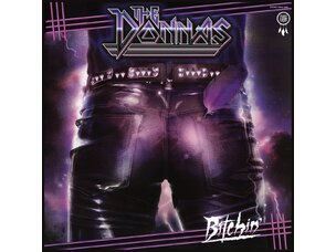 Punk / Hardcore Donnas - Bitchin LP