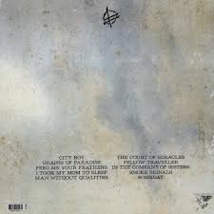Punk / Hardcore Fucked Up - Someday LP