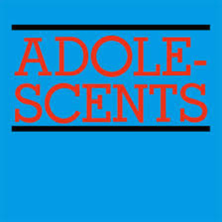 Punk / Hardcore Adolescents - S/T LP