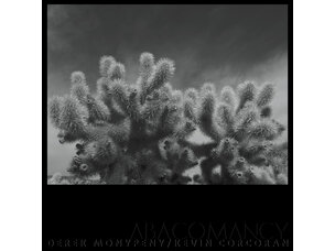 Reggae / Ska Eluvium - (Whirring Marvels In)... LP (volcanic)