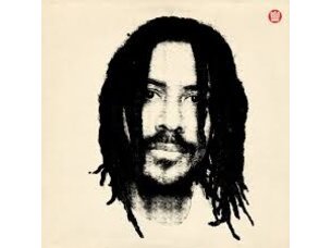 Reggae / Ska Liam Bailey 'Ekundayo' LP