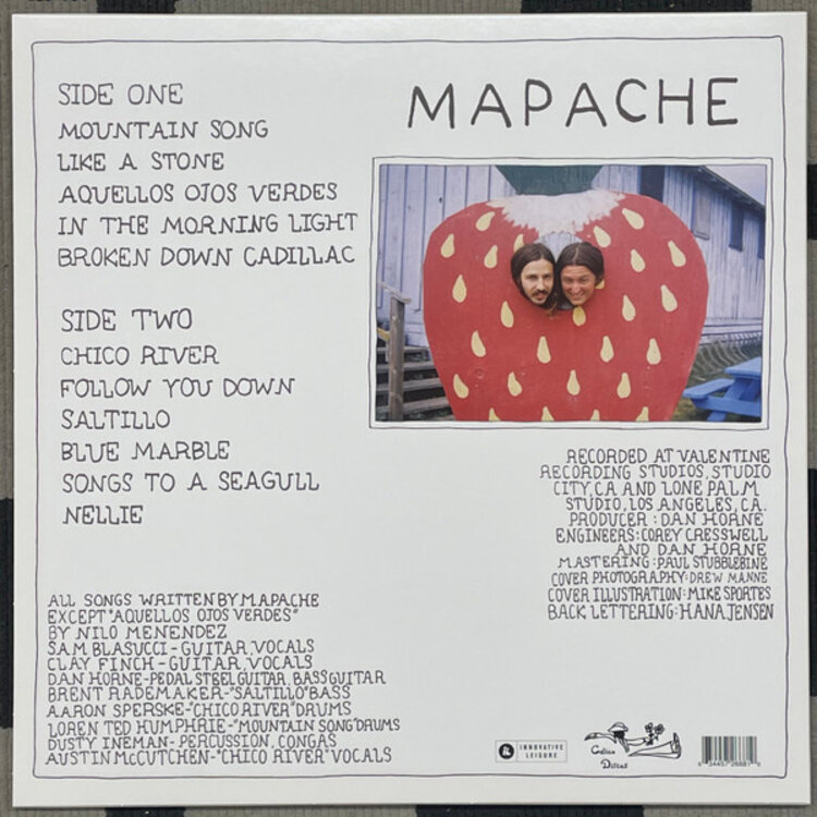 Rock / Indie / Alternative Mapache - Mapache LP