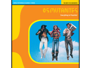 World Os Mutantes - Everything is Possible! LP
