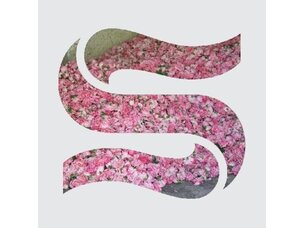 Electronic Braxe + Falcon - Step By Step EP LP