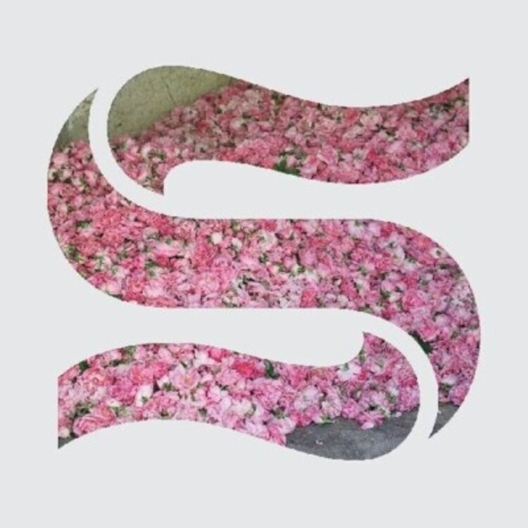 Electronic Braxe + Falcon - Step By Step EP LP