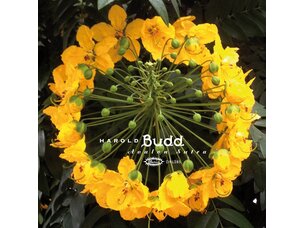 Electronic Harold  Budd- Avalon Sutra LP