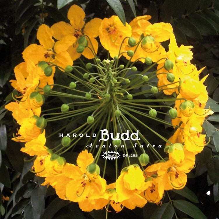 Electronic Budd,Harold - Avalon Sutra LP