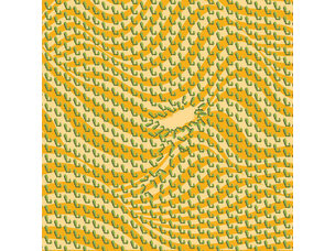 Electronic Arms and Sleepers − Former Kingdoms LP (cactus green)